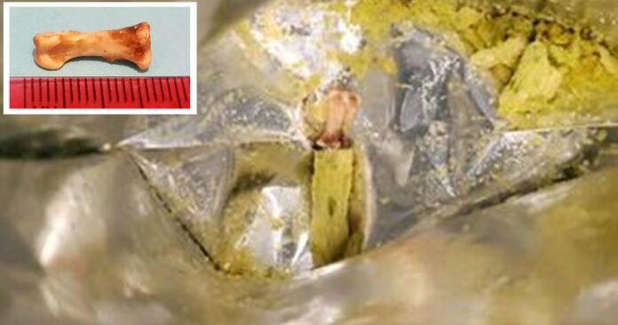 0_SWNS_CRISPS_BONE_004