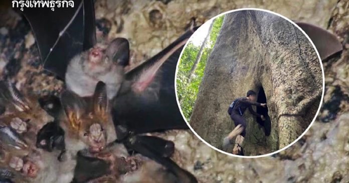 174752re30h1fhrlhhn280