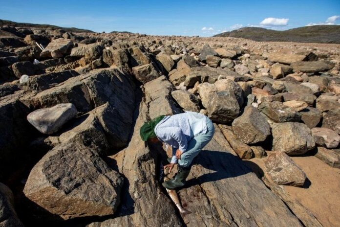 185cbe1557a71c69fae2c6c02330a227