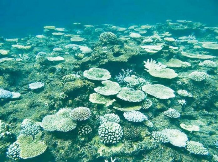 1a775f04993b522359bb68275eb95be7