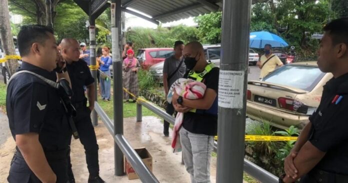 70bb296ad8257f38878df20b7ee54446