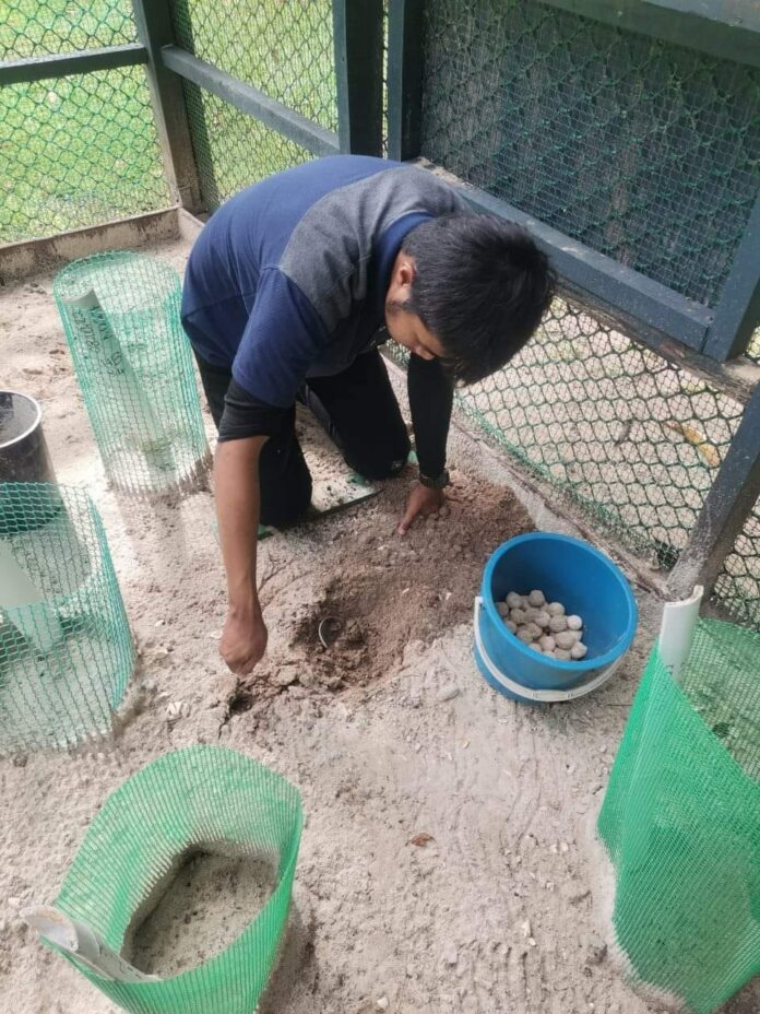 WhatsApp Image 2022-10-28 at 10.01.38 AM