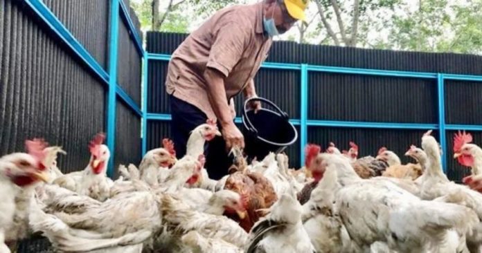 deb93c6be24d991a5c03cb3cea732aa6