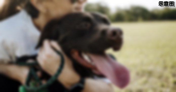 photo-1557495235-340eb888a9fb