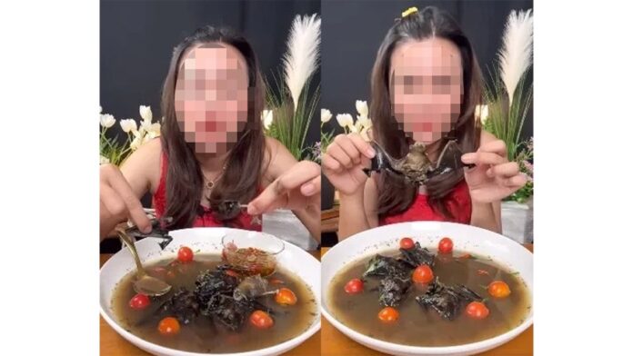 144032u99oytg9fwlybyu7