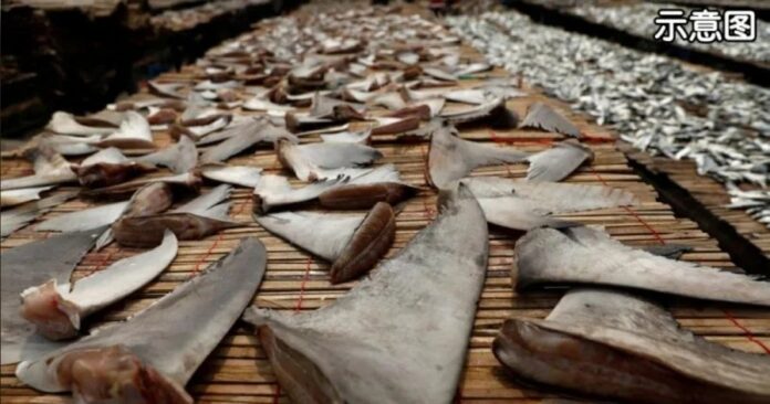 4f5c0629e8ad25054514cfd35dcda37a