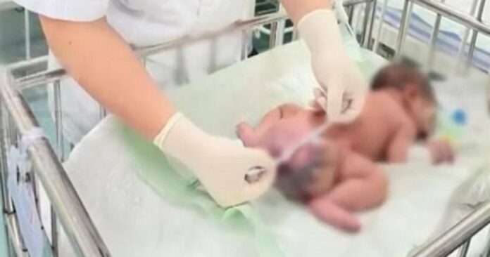 722478c2c78a838052a0084621ed73e8