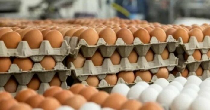 97e40613c52a6ae427ef05aff25dc399