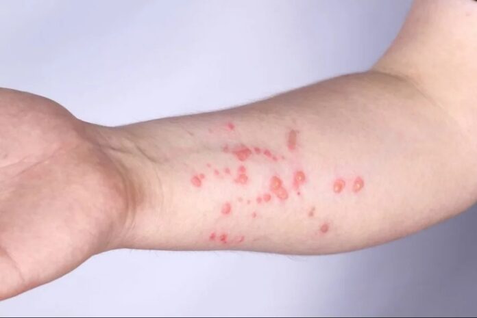 98d7c4b020324d1e9a9f0b90ceafc652