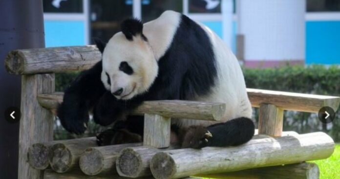 045244f15883e85ae172322639ace20b