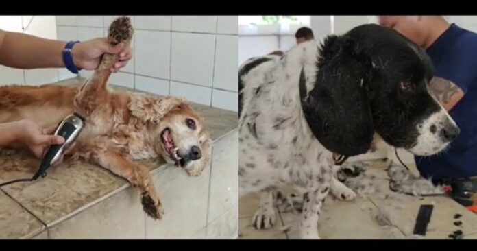 cc267941c677c4e1861faa263f126b43