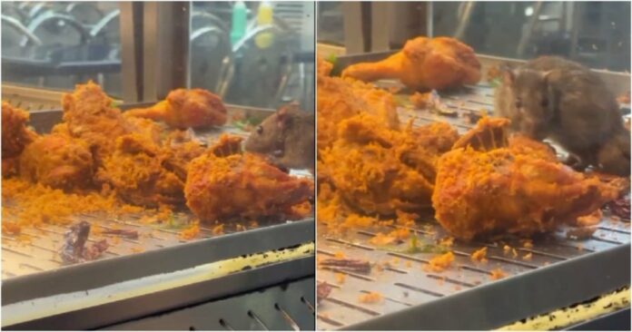 e55d3e1408bf59429259b901effb0e15