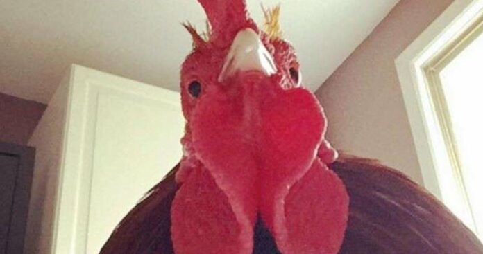 7ac3cefea35029f3036edbb1961b2b2b