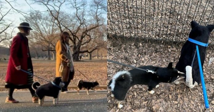 8da8869ff0190bf58ebb7f4ca80c3227