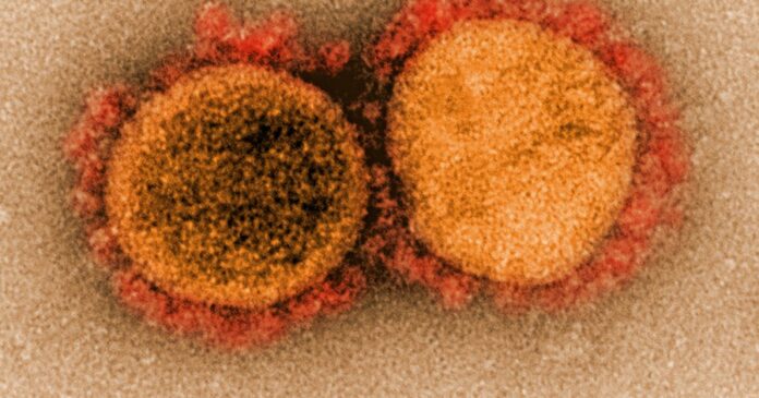 Mar12_2020_NIAID_Coronavirus