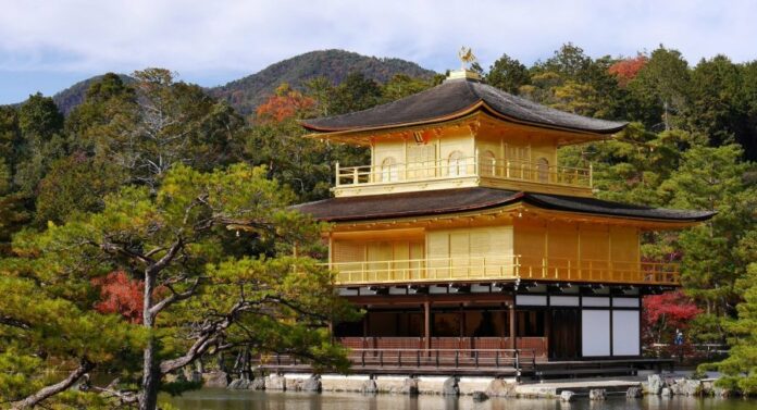 c6b3685622e8bde9e98d4381a2a685fc