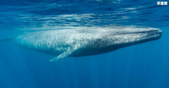 c9e3861e52d617c98ab8390def552f4f