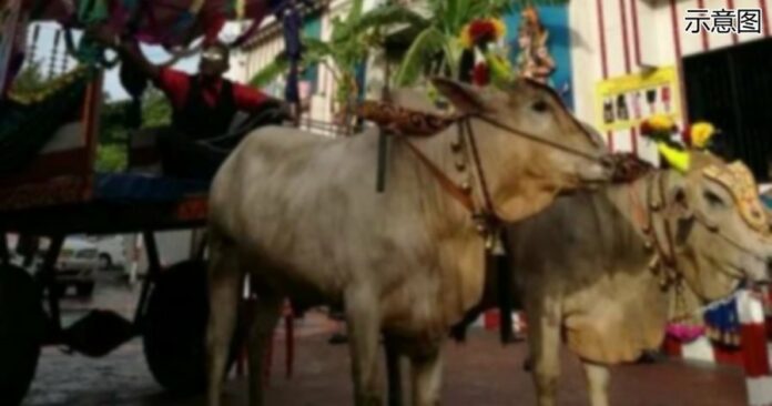 eefc45afdc84a7d87320c4a51542102a