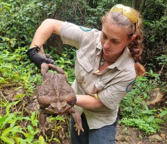 f1e77399203876c68d794db3c7bc6b5f