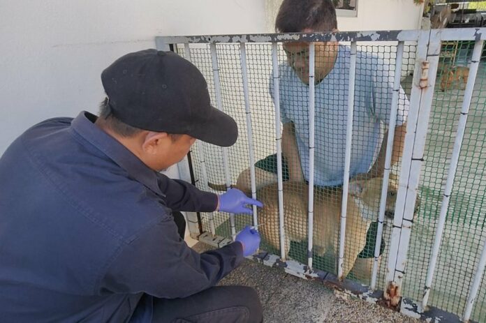 0937c74336efc4ad28fda6db94fe26af