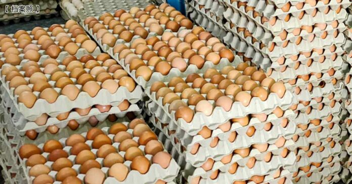 221015CMKfb79a-Malaysia-Egg_Salmonella-enteritidis