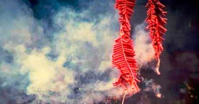 640589bf22837776c62ea80a26ca24ad