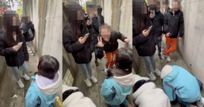 7a72e017782baeb7aadf41d31f59f57b