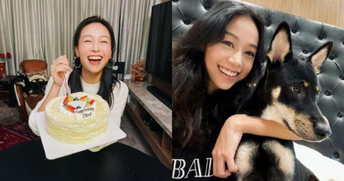 afe03ea8ed34f5f2e8058efaff56e9f0