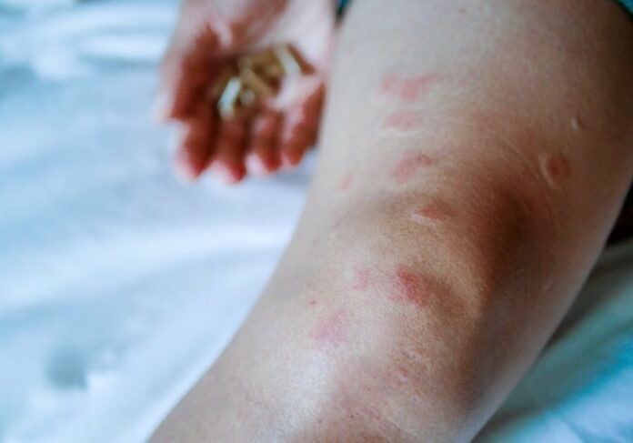 fa2f2f1795ab50cb84c275b36b973c95