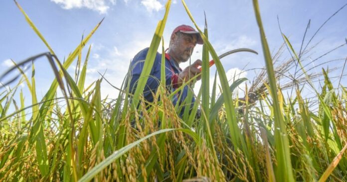 75e531920f4579dbf8c92fc6b6ae1355