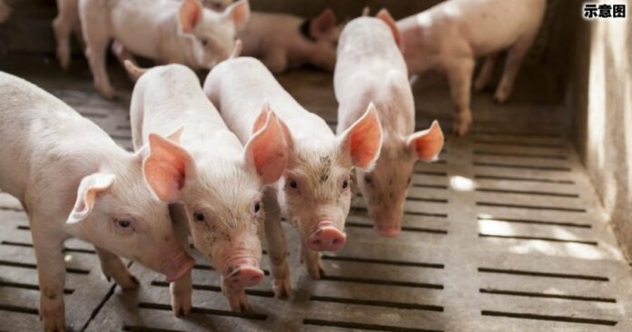 a5072c002a89c801b1d2c48e81e73922