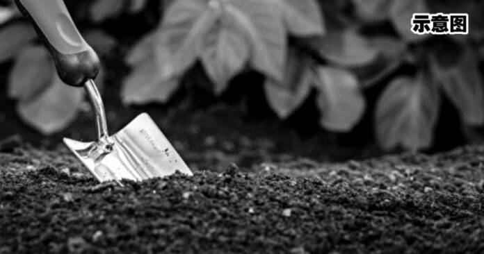 fe2c4ce684f210c7cc2f936c7dffbb6f