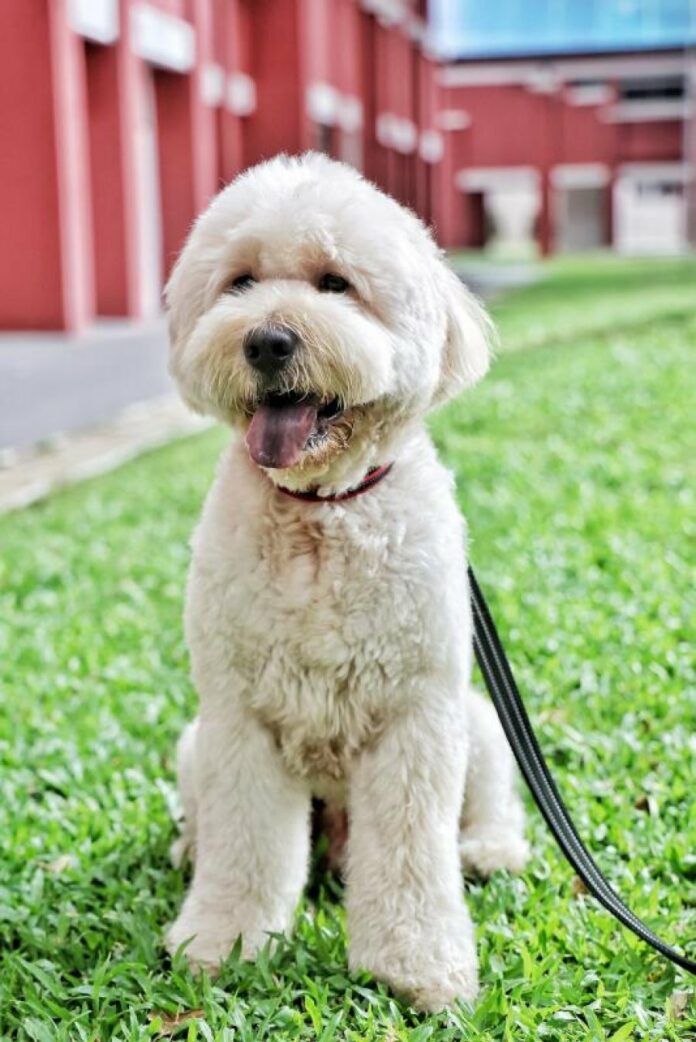 82179fff9f46843f1ceb23f9407d47d3