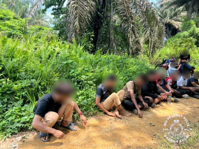 97f0b3237daeaefbecacb7af5a506ea4