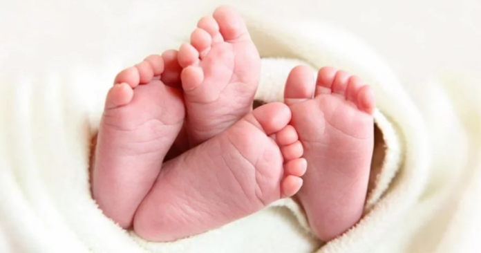 0f9dc7227cdf7596aa4283cc088aa8b9