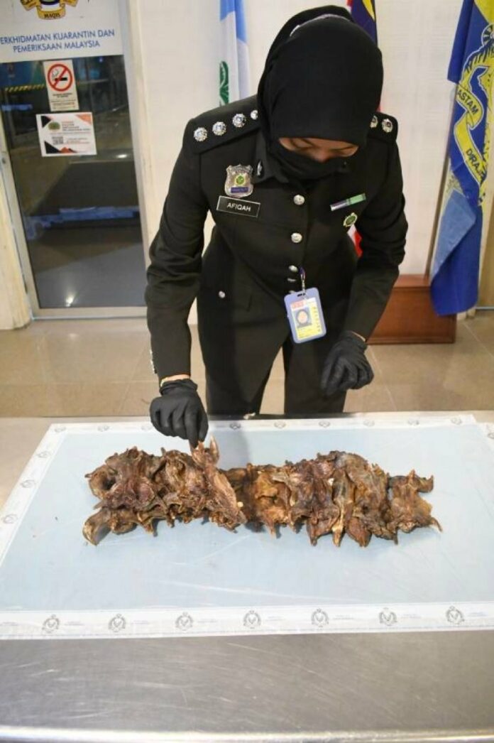 1f4445df9a21a12c4d1ca84724dfb587