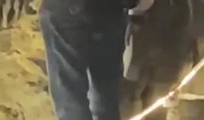 2cb7369ea17446ce8c4de1ccf5d9646d