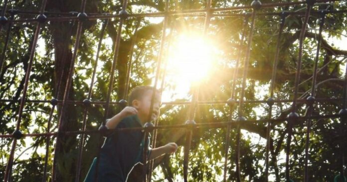 644b00be13ae0331df4d33441acd5922