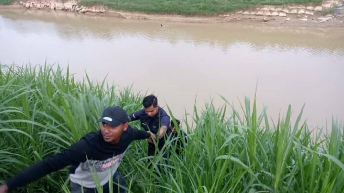 90099db868684aee22369b107d661a60