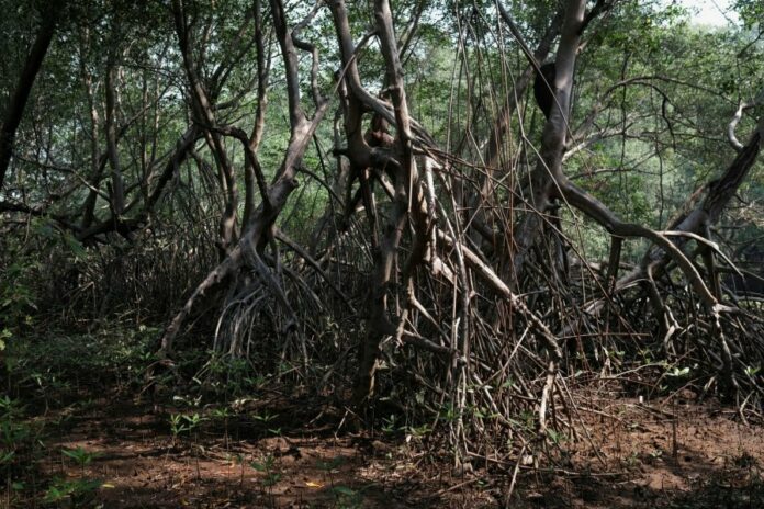 a5cb643121e70810a39f155b12414de5