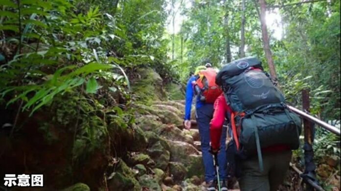 a7d01cdc99ab8eacb77ec91af853ef80 (1)