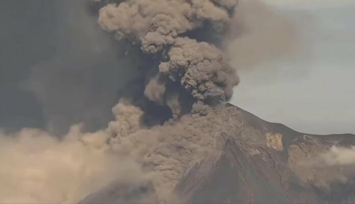 adf090f6d0f3f4d9c8cb1508c9463ce9