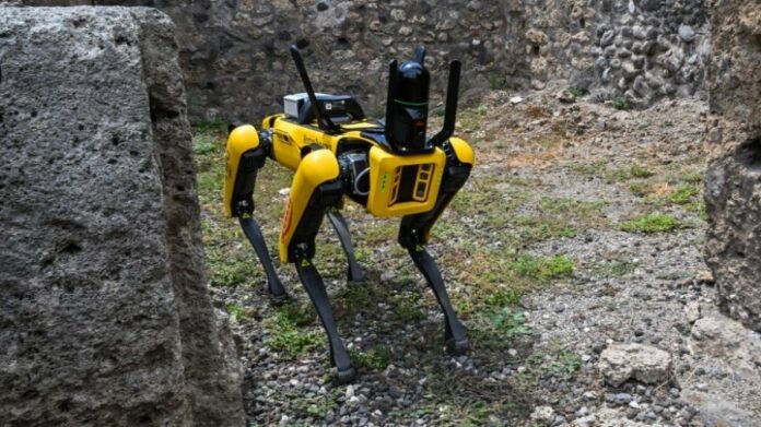 c540ac2d8ad1a647cab55f317837c66c