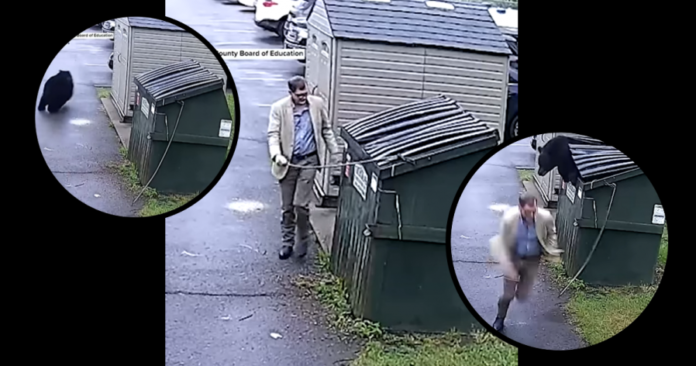 ccfee3c77c24b07dc386047510e2c246