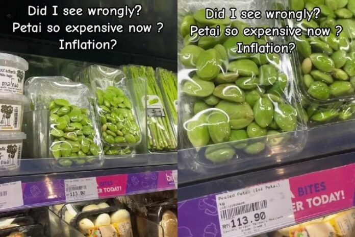 d0700225cac6cde06966975e215e5ebd