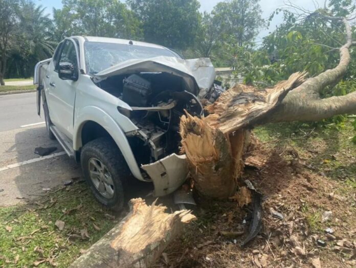 d3051bd1ab1eb512abcd53553869f21c (1)