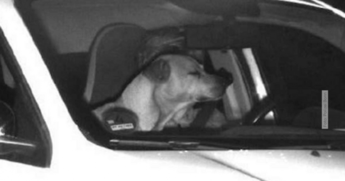 e301b7132f80fb0ac3584047ecaabf54