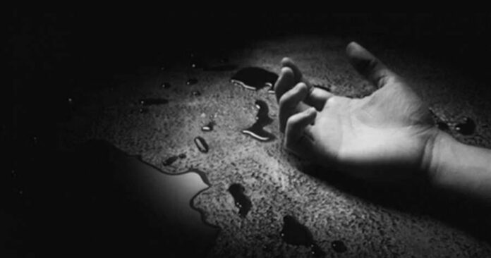 e8d005506e3c855a1d3b0832c5c06086