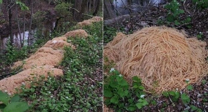 f565aabd178cb1f1547794a83bd4be80