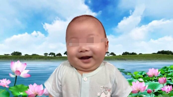 1dd12624c937a6e4490a4c9a0ce229a5